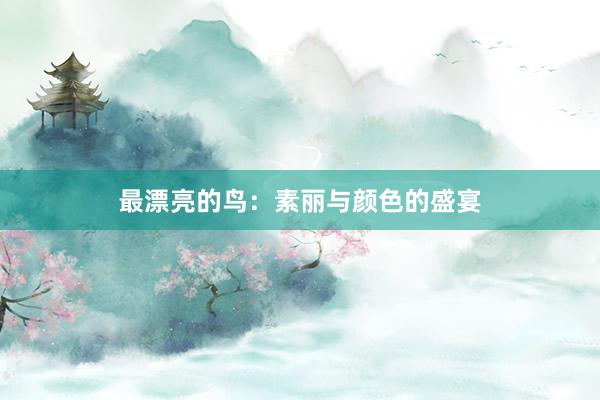 最漂亮的鸟：素丽与颜色的盛宴