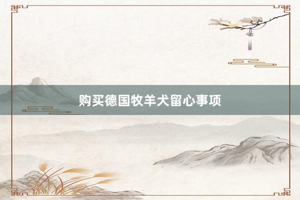 购买德国牧羊犬留心事项